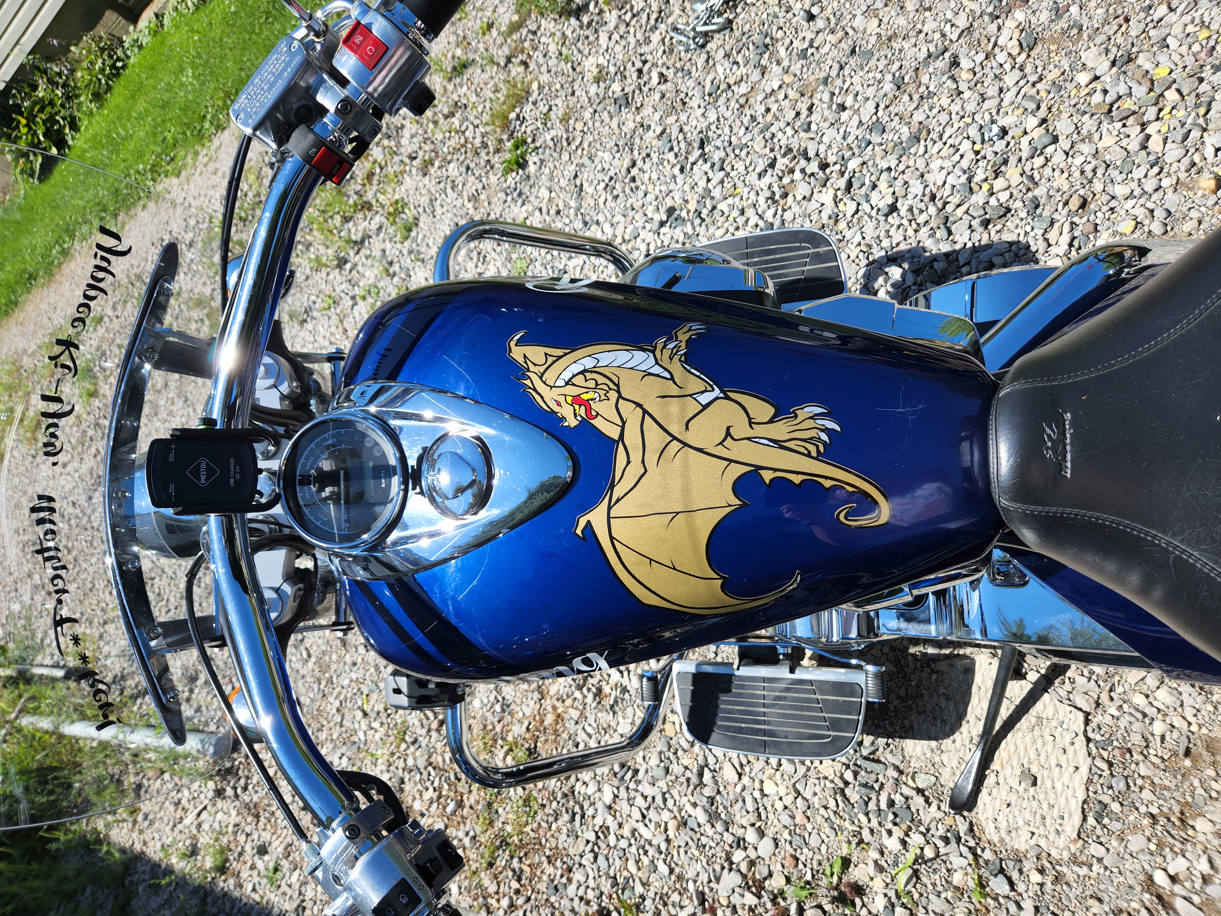 intricate dragon graphic